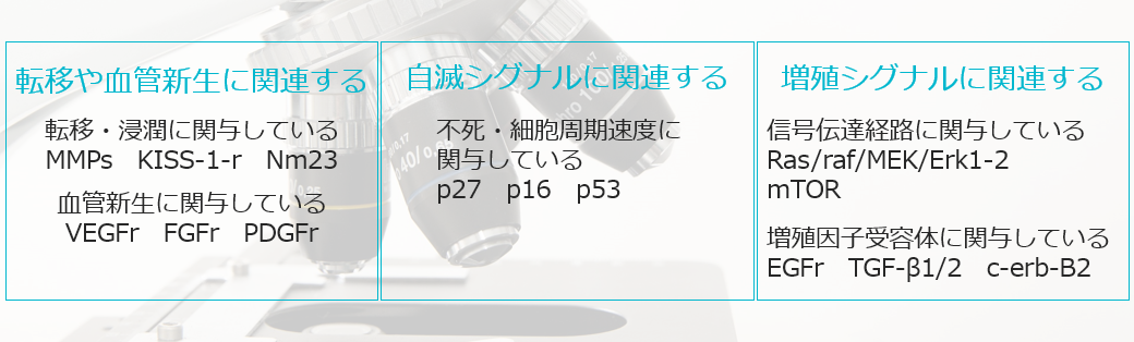 がんに関連するがん抑制遺伝子