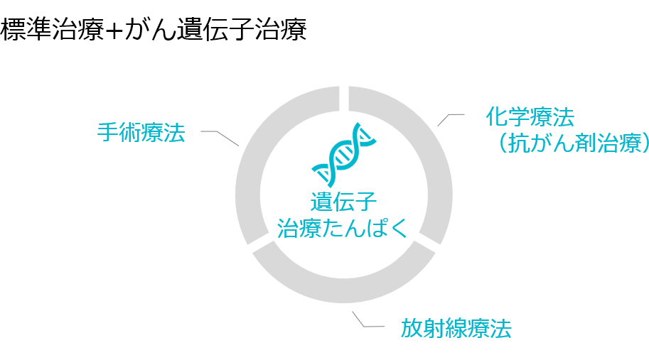 がん遺伝子治療と標準治療との相乗効果を発揮