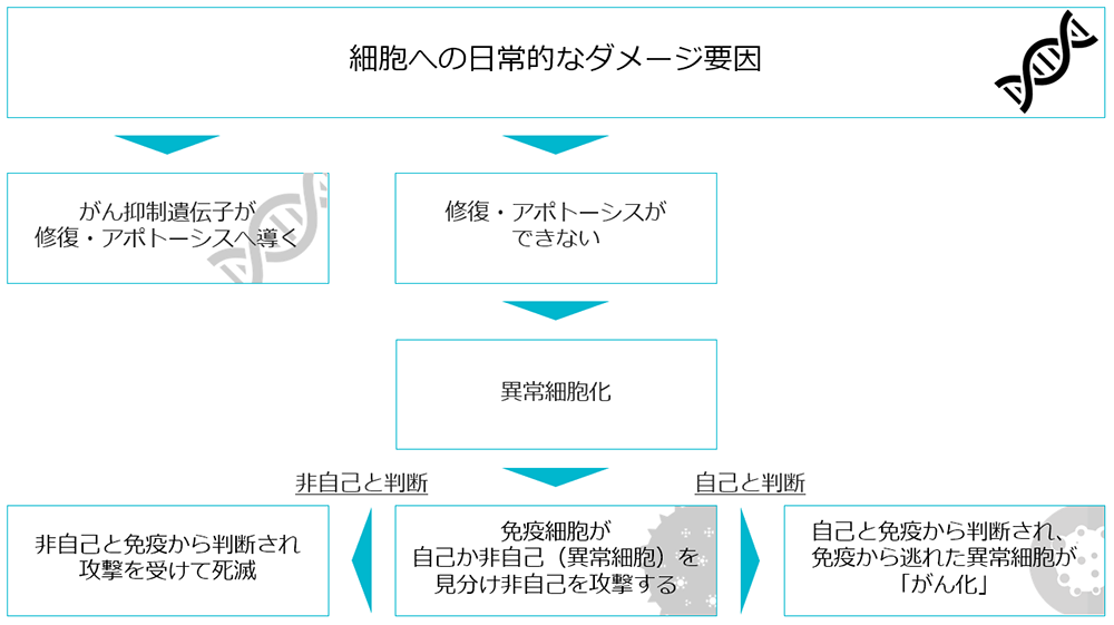 免疫 療法 クリニック