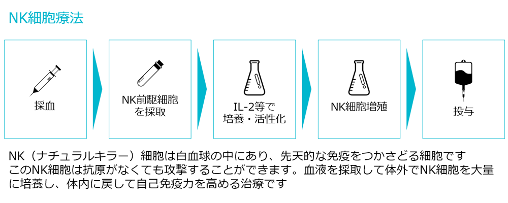 NK細胞の特徴