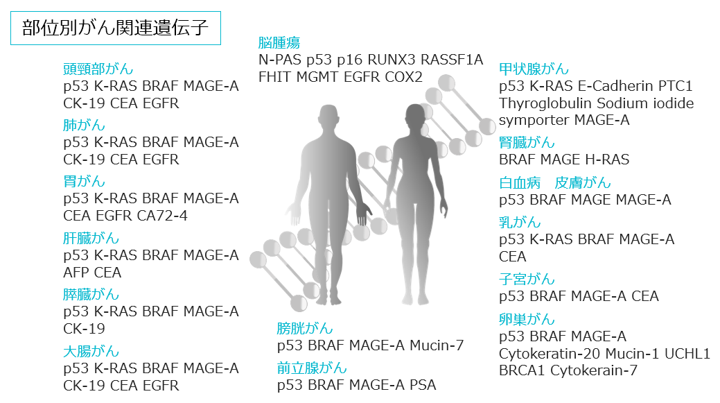 部位別がん関連遺伝子