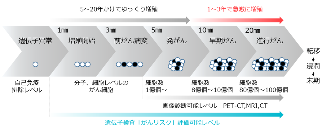 がん細胞の成長過程