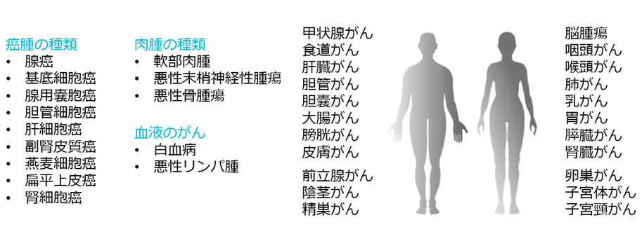 癌種・肉腫・全身のがん・血液のがん