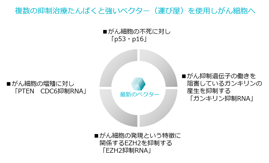 ベクターに乗せて効果を発揮