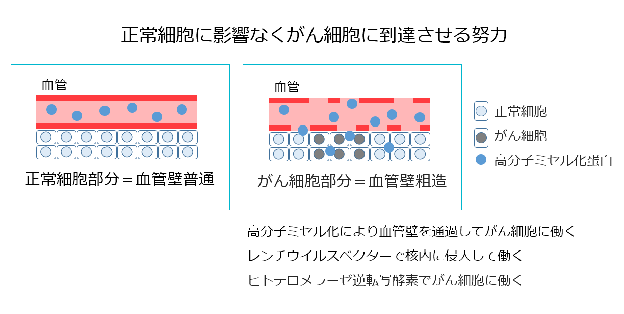 がん細胞へ到達させる努力