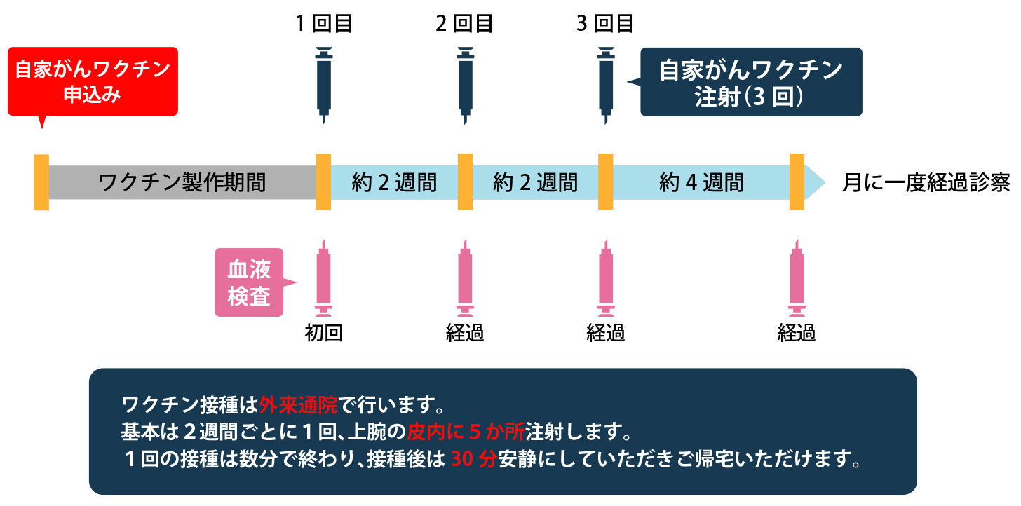 自家がんワクチン投与の流れ